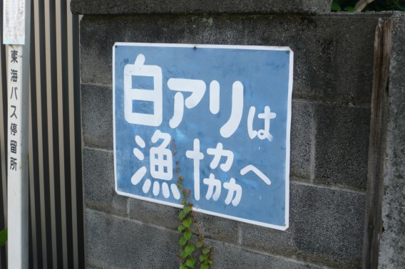 気になる看板 白アリは漁協へ