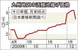 九州地区の活鰻池揚げ価格